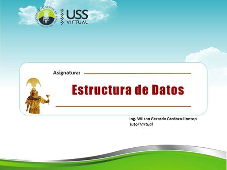 Ing. Wilson Gerardo Cardoza Llontop Tutor Virtual Estructura de Datos Asignatura: