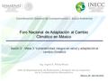 Foro Nacional de Adaptación al Cambio Climático en México Ing. Ingrid K. Pérez Rivas Jefe de Departamento de Evaluación y Análisis de los Impactos de la.