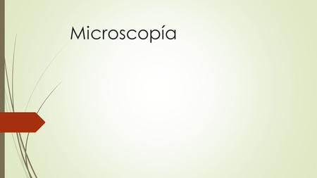 Microscopía.