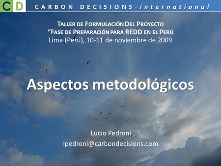Lucio Pedroni Aspectos metodológicos CARBON DECISIONS·international T ALLER DE F ORMULACIÓN D EL P ROYECTO “F ASE DE P REPARACIÓN.