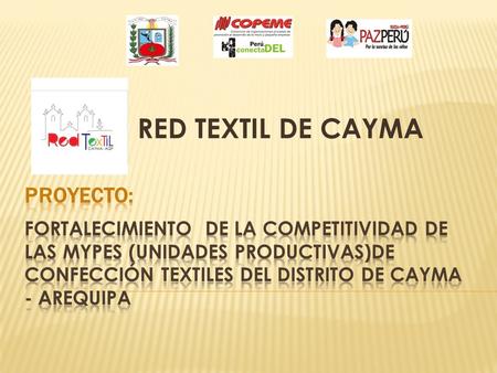 RED TEXTIL DE CAYMA. FIN:Contribuir a mejorar y sostener el nivel de ingresos de los emprendimiento del sector confección textil del distrito Cayma. PROPÓSITO:Promocionar.