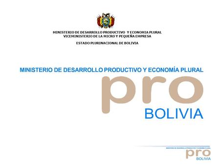 MINISTERIO DE DESARROLLO PRODUCTIVO Y ECONOMIA PLURAL VICEMINISTERIO DE LA MICRO Y PEQUEÑA EMPRESA ESTADO PLURINACIONAL DE BOLIVIA.