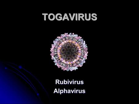 TOGAVIRUS Rubivirus Alphavirus.