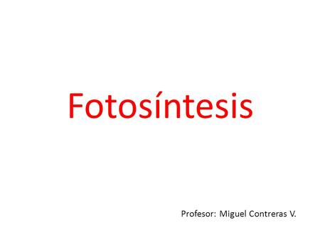 Fotosíntesis Profesor: Miguel Contreras V..