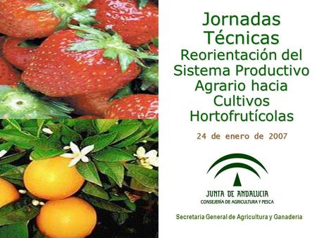 Jornadas Técnicas Reorientación del Sistema Productivo Agrario hacia Cultivos Hortofrutícolas 24 de enero de 2007 Secretaría General de Agricultura y Ganadería.