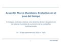 1 Felix Hadwiger Acuerdos Marco Mundiales: Evolución con el paso del tiempo Estrategias sindicales relativas a los derechos de los trabajadores en las.