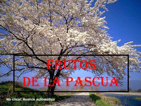Frutos de la pascua No clicar. Avance automático.