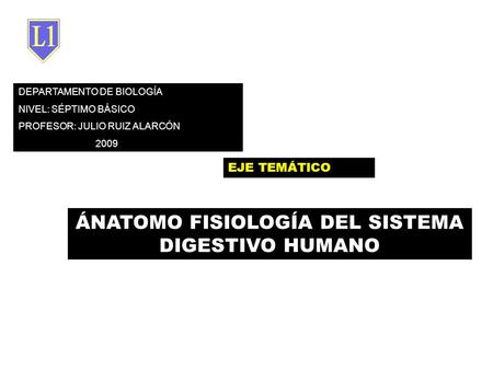 DEPARTAMENTO DE BIOLOGÍA NIVEL: SÉPTIMO BÁSICO PROFESOR: JULIO RUIZ ALARCÓN 2009 EJE TEMÁTICO ÁNATOMO FISIOLOGÍA DEL SISTEMA DIGESTIVO HUMANO.