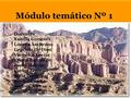 Módulo temático Nº 1 Docentes Yamila Gimenez Lorena Amitrano Graciela De Dios Verónica Leyría Emma Escudero Paola Mercau Carlos Zenteno Sofía Denicolai.