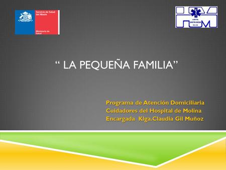 “ LA PEQUEÑA FAMILIA” Programa de Atención Domiciliaria Cuidadores del Hospital de Molina Encargada Klga.Claudia Gil Muñoz.