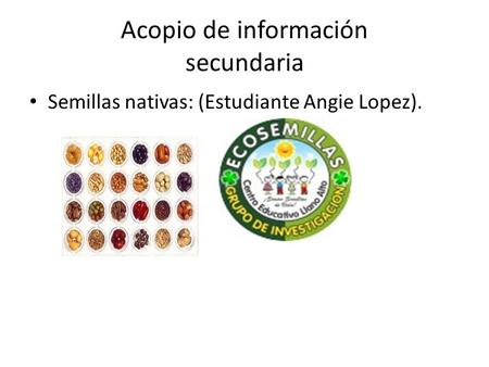 Acopio de información secundaria Semillas nativas: (Estudiante Angie Lopez).