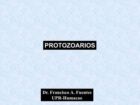 PROTOZOARIOS Dr. Francisco A. Fuentes UPR-Humacao.