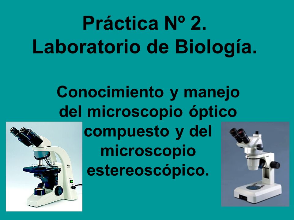 muestras de laboratorio Diapositivas preparadas biológicas juego de diapositivas de microscopio con caja para vidrio biológico imágenes claras 25 Uds