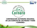 CORPORACION AUTONOMA REGIONAL DE LAS CUENCAS DE LOS NEGRO Y NARE «CORNARE»