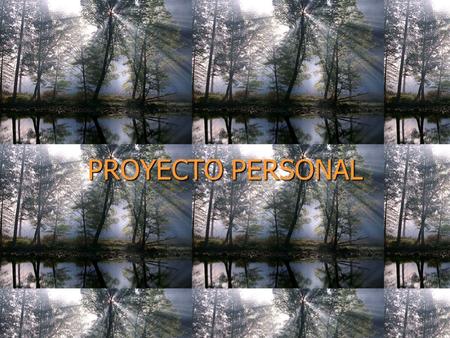 PROYECTO PERSONAL. “ES EL NUCLEO DE LAS COSAS IMPORTANTES EN TORNO AL CUAL SE CONSTRUYE LA PROPIA IDENTIDAD, EL CONJUNTO DE VALORES EN LOS QUE EL SUJETO.