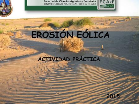 EROSIÓN EÓLICA ACTIVIDAD PRÁCTICA 2015. TOLERANCIA (usar Tabla 1) PillahuincoSanta RosaEsquel Tolerancia (t/ha a ñ o) 2,2 -4,596,7-9.
