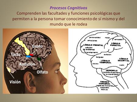Procesos Cognitivos Comprenden las facultades y funciones psicológicas que permiten a la persona tomar conocimiento de sí mismo y del mundo que le rodea.