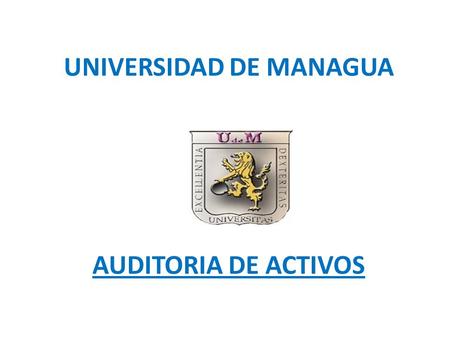 UNIVERSIDAD DE MANAGUA AUDITORIA DE ACTIVOS