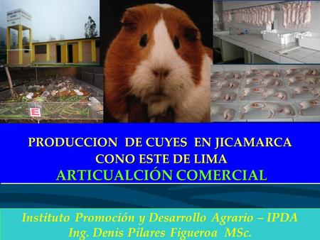 Instituto Promoción y Desarrollo Agrario – IPDA