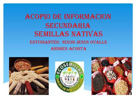 ACOPI0 DE INFORMACION SECUNDARIA SEMILLAS NATIVAS ESTUDIANTES: NIXON JESUS OVALLE ANDRES ACOSTA.