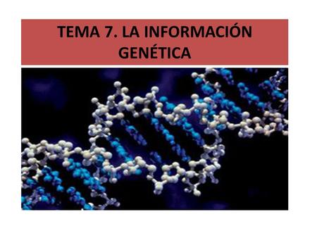 TEMA 7. LA INFORMACIÓN GENÉTICA. CÉLULA EN INTERFASE. CONTROL CELULAR NÚCLEORIBOSOMAS.