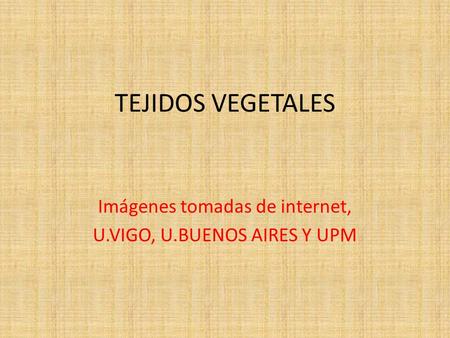 Imágenes tomadas de internet, U.VIGO, U.BUENOS AIRES Y UPM