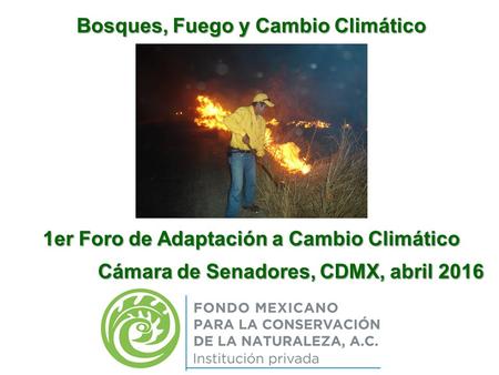 Bosques, Fuego y Cambio Climático 1er Foro de Adaptación a Cambio Climático Cámara de Senadores, CDMX, abril 2016 Cámara de Senadores, CDMX, abril 2016.