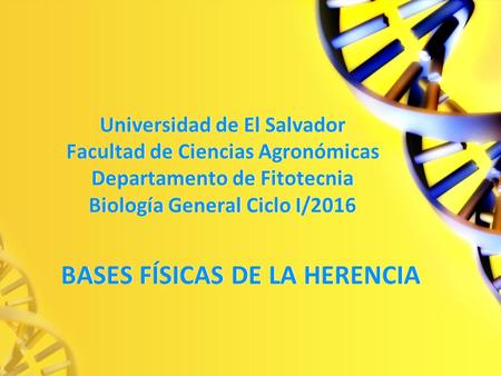Universidad de El Salvador Facultad de Ciencias Agronómicas Departamento de Fitotecnia Biología General Ciclo I/2016 BASES FÍSICAS DE LA HERENCIA.