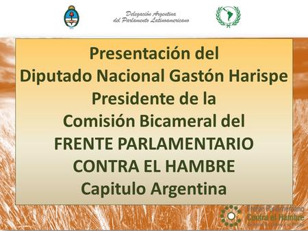 Presentación del Diputado Nacional Gastón Harispe Presidente de la Comisión Bicameral del FRENTE PARLAMENTARIO CONTRA EL HAMBRE Capitulo Argentina.