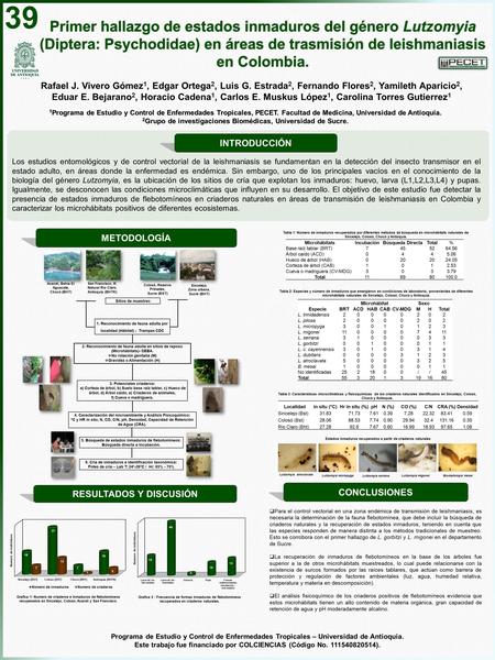 Primer hallazgo de estados inmaduros del género Lutzomyia (Diptera: Psychodidae) en áreas de trasmisión de leishmaniasis en Colombia. 1 Programa de Estudio.
