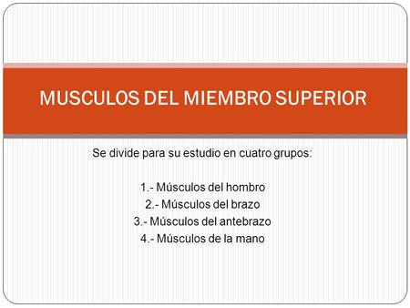 MUSCULOS DEL MIEMBRO SUPERIOR