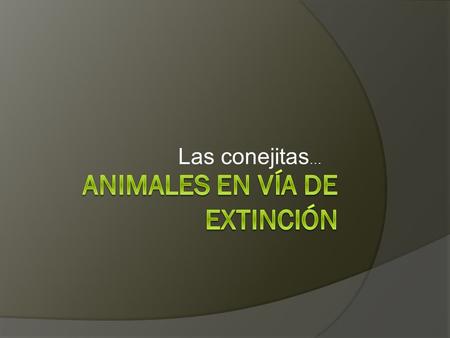 Las conejitas …. Es un fenómeno completamente natural resultado de un proceso en el que una especie se origina a partir de otra –la que se extingue-.