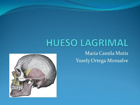 Maria Camila Mutis Yusely Ortega Monsalve. Tomado de: