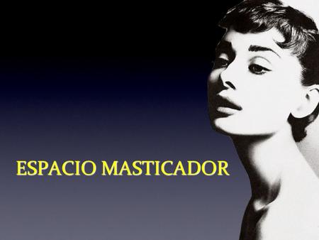ESPACIO MASTICADOR.