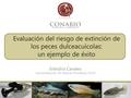 Evaluación del riesgo de extinción de los peces dulceacuícolas: un ejemplo de éxito Eréndira Canales Subcoordinación de Especies Prioritarias-DGAP.