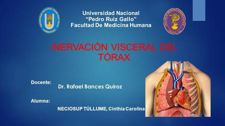 INERVACIÓN VISCERAL DEL TÓRAX