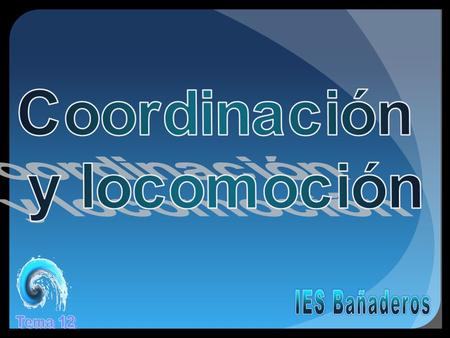 Coordinación y locomoción IES Bañaderos Tema 12.