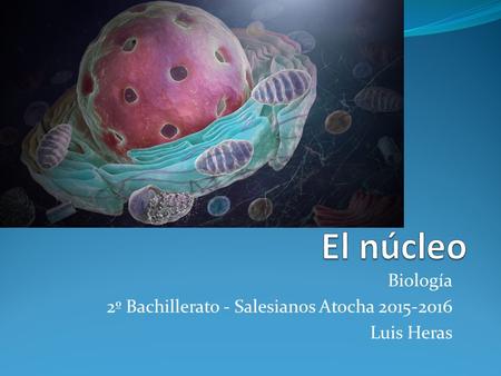 Biología 2º Bachillerato - Salesianos Atocha Luis Heras