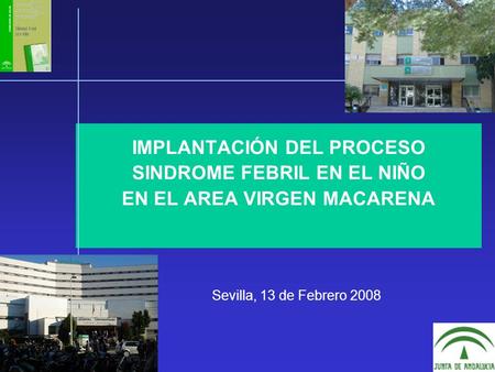 IMPLANTACIÓN DEL PROCESO SINDROME FEBRIL EN EL NIÑO EN EL AREA VIRGEN MACARENA Sevilla, 13 de Febrero 2008.