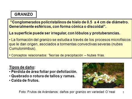 1 ”Conglomerados policristalinos de hielo de 0.5 a 4 cm de diámetro. Generalmente esféricos, con forma cónica o discoidal”. La superficie puede ser irregular,