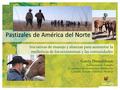 Pastizales de América del Norte Iniciativas de manejo y alianzas para aumentar la resiliencia de los ecosistemas y las comunidades Comisión para la Cooperación.