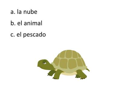 A. la nube b. el animal c. el pescado. a. el cuento b. el cielo c. el bosque (tropical)