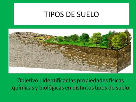 TIPOS DE SUELO Objetivo : Identificar las propiedades físicas ,químicas y biológicas en distintos tipos de suelo.