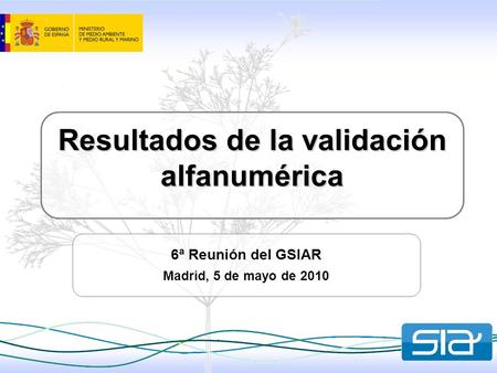 Resultados de la validación alfanumérica 6ª Reunión del GSIAR Madrid, 5 de mayo de 2010.