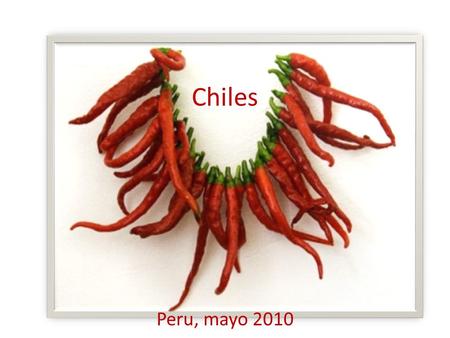 Chiles Peru, mayo 2010. Paises productores: chile seco. Posición Región Producción (1000 T) 1 India 1244000 2 China 250000 3 Perú 165000 4 Bangladesh.