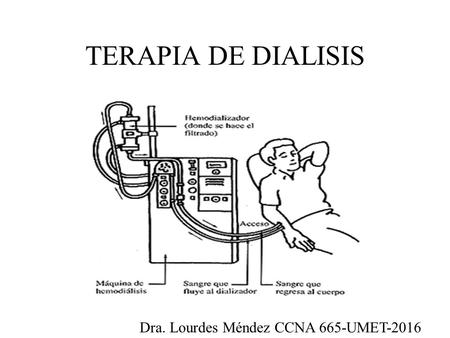 TERAPIA DE DIALISIS Dra. Lourdes Méndez CCNA 665-UMET-2016.