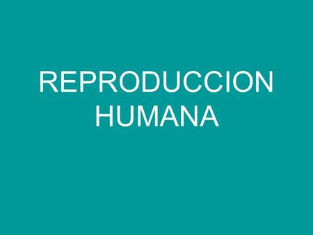 REPRODUCCION HUMANA. Órganos reproductores femeninos.