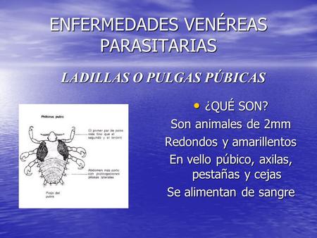 ENFERMEDADES VENÉREAS PARASITARIAS