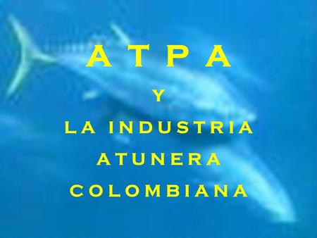 A T P A Y L A I N D U S T R I A A T U N E R A C O L O M B I A N A.