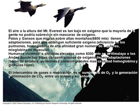 El aire a la altura del Mt